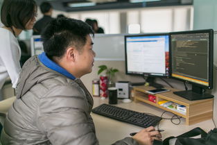 做精软件外包，浙江服贸企业用质量征服国际市场