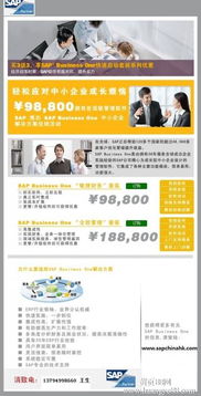 深圳SAP Business One软件综合服务指南 报价、实施、培训与外包解决方案